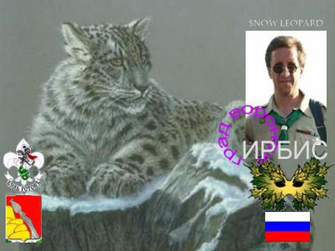 Ирбис(ОРЮР.Россия.Воронеж)