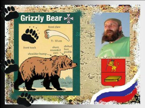 Гризли