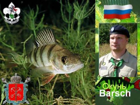 Окунь-на-Неве