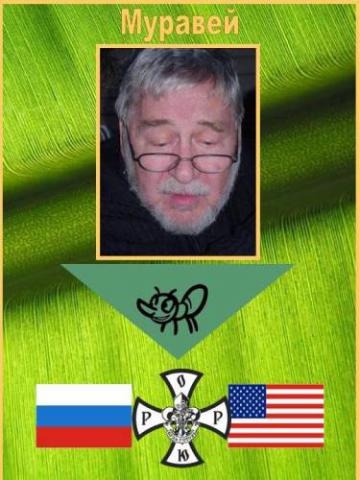 Муравей.  США . ОРЮР