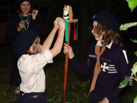 Летний лагерь волчат и белочек